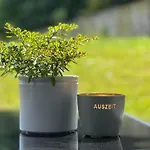 Bella - Mit Waschmaschine, Fahrstuhl Und Carport In Ruhiger Altstadtlage Von *