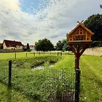 Bella - Mit Waschmaschine, Fahrstuhl Und Carport In Ruhiger Altstadtlage Von 아파트 *