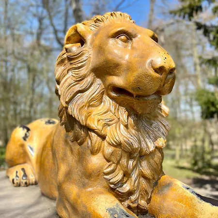 Bella - Mit Waschmaschine, Fahrstuhl Und Carport In Ruhiger Altstadtlage Von *