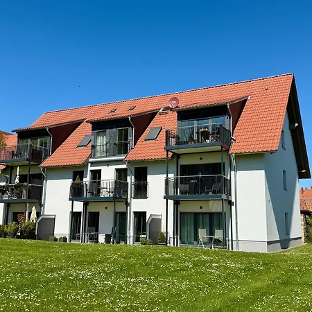 Bruno Auf Dem Zillehof In Ballenstedt