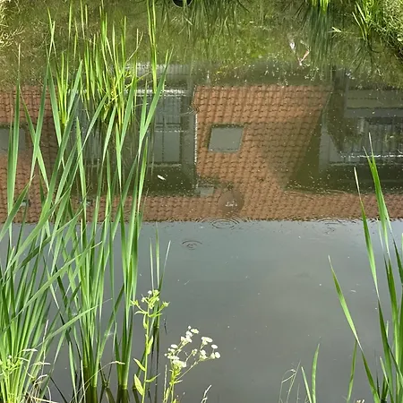 アパート Bella - Mit Waschmaschine, Fahrstuhl Und Carport In Ruhiger Altstadtlage Von バレンシュテット
