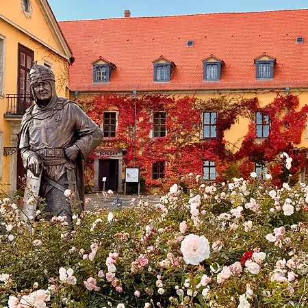 Bella - Mit Waschmaschine, Fahrstuhl Und Carport In Ruhiger Altstadtlage Von *