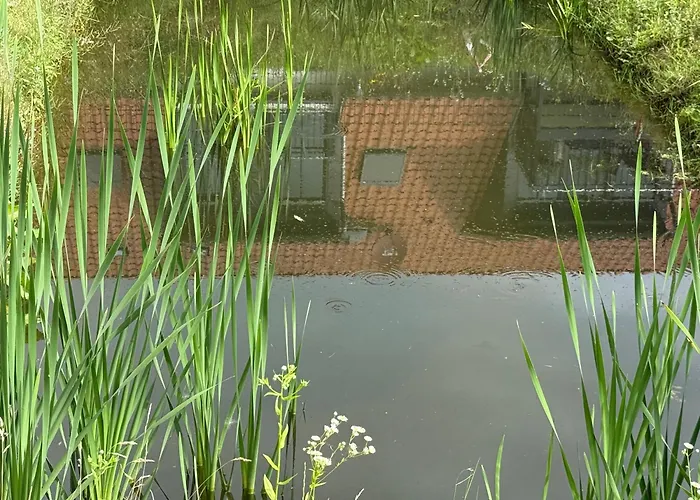 アパート Bella - Mit Waschmaschine, Fahrstuhl Und Carport In Ruhiger Altstadtlage Von バレンシュテット